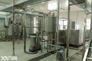 山東樂陵市飲料廠整體轉(zhuǎn)讓與技術(shù)服務合作公告